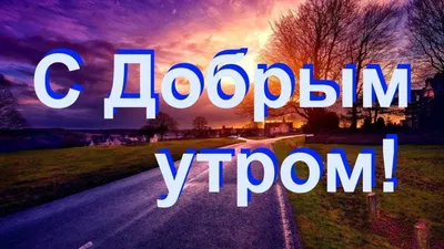 Доброе утро, сынок! | Пикабу