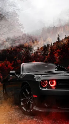 Фотографические картинки — Dodge Challenger, 3,6 л, 2020 года | фотография  | DRIVE2