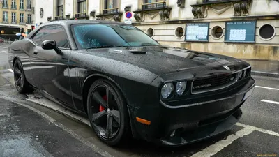 dodge challenger / смешные картинки и другие приколы: комиксы, гиф  анимация, видео, лучший интеллектуальный юмор.