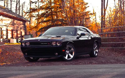 Фотографические картинки — Dodge Challenger, 3,6 л, 2020 года | фотография  | DRIVE2