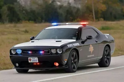 Скачать 3840x2160 dodge challenger, dodge, challenger, спорткар, гонки,  фары, бампер, колесо обои, картинки 4k uhd 16:9