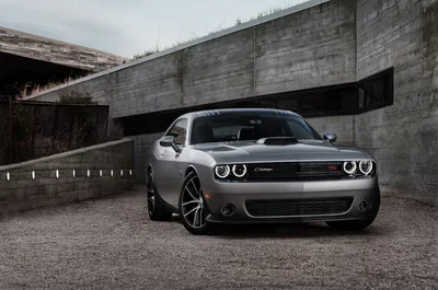 Обои Dodge Challenger, картинки - Обои для рабочего стола Dodge Challenger  фото из альбома: (авто)