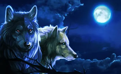 Картина по номерам \"Два волка\"