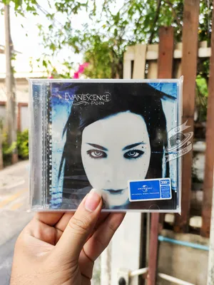 EVANESCENCE's AMY LEE Was Worried \"Bring Me To Life\" Would Mislead Fans In  2003