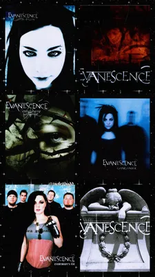 Evanescence Official Store