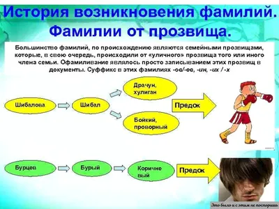 Петров — сохранить память о людях и делиться исследованиями — Familio