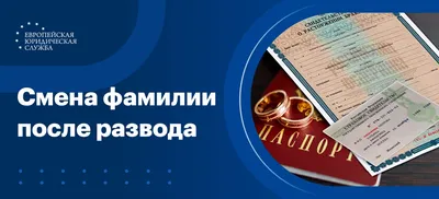 Польские фамилии: путеводитель иностранца | Статья | Culture.pl