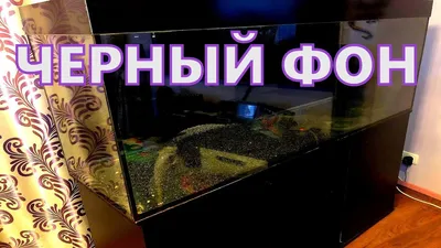 Аквариумный черный фон Поклейка пленки - YouTube