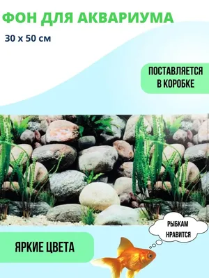 JUWEL Juwel Poster Фон для аквариума, двухсторонний | Цена от: 3,55 € | KИКА