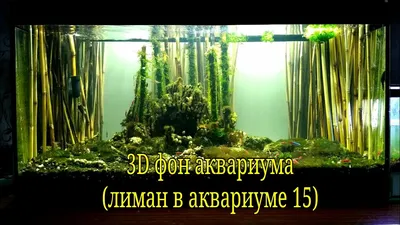 Фон для аквариума, 50 см, рулон 25 м в Бишкеке купить по ☝доступной цене в  Кыргызстане ▶️ max.kg