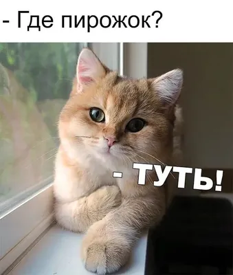 https://www.tiktok.com/@diana9_7_9/video/7322164100119891246