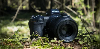 COOLPIX P1000 | 125-кратный оптический зум, 24–3000 мм | Nikon