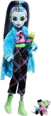 Виниловая фигурка Фрэнки Штейн - Monster High - интернет-магазин -  MonsterDoll.com.ua