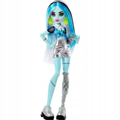 Купить коллекционная кукла Monster High День фотографии Фрэнки Штейн, цены  на Мегамаркет