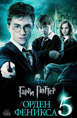 Кукла Harry Potter Гарри Поттер FYM50 купить по цене 2999 ₽ в  интернет-магазине Детский мир