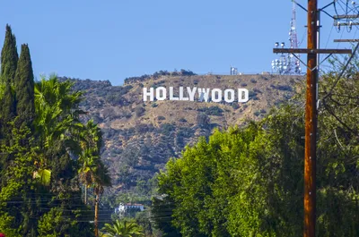 8 Things You May Not Know About the Hollywood Sign | HISTORY