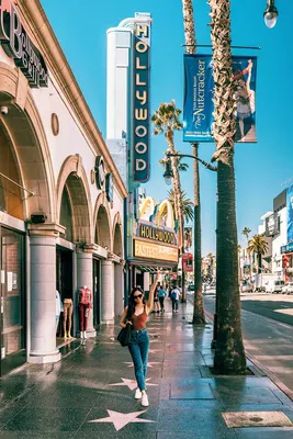 Hollywood, CA Restaurants | Hard Rock Cafe Hollywood, CA | Live Music and  Dining in Hollywood, CA