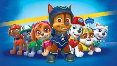 Щенячий патруль Paw Patrol: мягкая игрушка - щенок Гонщик 20 см  (ID#1463012231), цена: 898 ₴, купить на Prom.ua