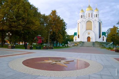 Назван самый «вымирающий» город Калининградской области - Новости  Калининграда - Новый Калининград.Ru