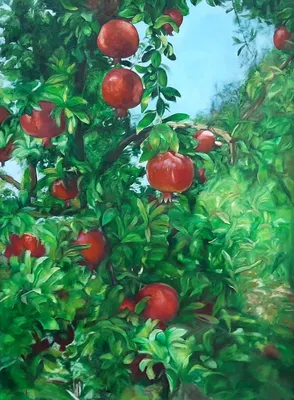 Плоды гранатового дерева» картина Берестовой Ксении маслом на холсте —  купить на ArtNow.ru
