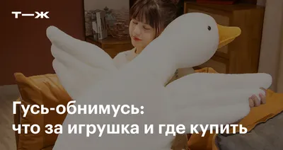 Гусь для срисовки смешной (31 шт)