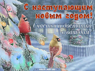 С новым годом | Merry christmas and happy new year, Christmas pictures,  Christmas mood