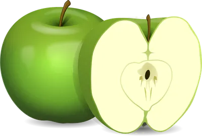 Apple Logo iPhone, яблоко, угол, компьютер, логотип png | Klipartz