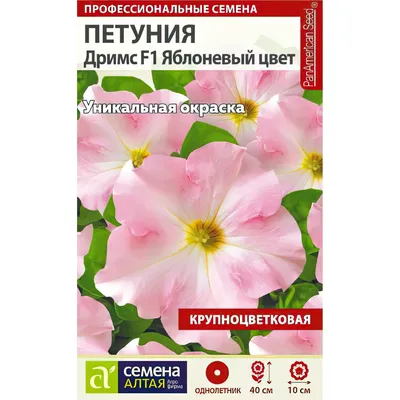 Картины: Яблоневый цвет – заказать на Ярмарке Мастеров – Q8VBCBY | Картины,  Чебоксары