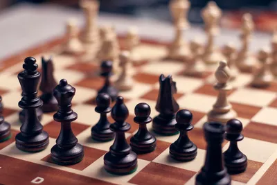 rgdb.ru - Волнующая и увлекательная игра: книги о шахматах