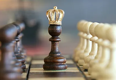 Хобби успешных людей: 4 причины научиться играть в шахматы | MARIECLAIRE