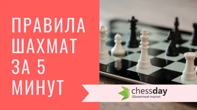Почему детей важно обучать игре в шахматы? | Новости Таджикистана ASIA-Plus