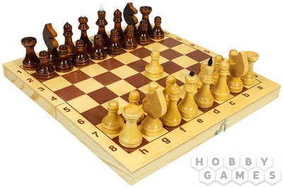 Курс по игре в шахматы Томск | Обучение шахматам