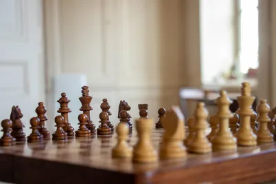 Шахматы деревянные (290x150x46) | Купить настольную игру в магазинах Hobby  Games