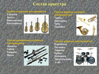 Знакомство с симфоническим оркестром реферат по музыке | Сочинения Музыка |  Docsity