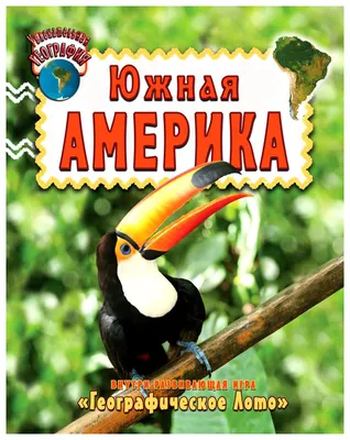 Южная Америка На Модели Земли С Темно-синими Океанами И Тиснеными Землями.  3D Иллюстрации. Пустое Место Для Вашей Копии С Левой Стороны. Фотография,  картинки, изображения и сток-фотография без роялти. Image 74630006