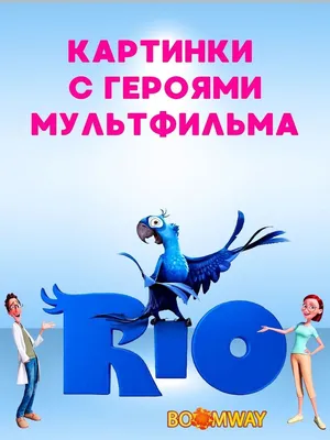 Рио» и одно попугайское крылышко - 7Дней.ру