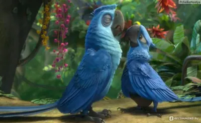 Игрушки попугаи из мультика Рио 2. Toy parrots from the movie Rio 2 -  YouTube