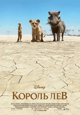 DVD 9: Король Лев 3: Акуна Матата /Тимон и Пумба (Disney) мультфильм,  комедия, приключения, семейный (торги завершены #233314267)