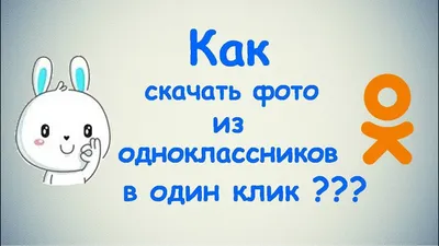 Поздравляю всех своих любимых одноклассников | Пикабу