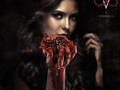 Набор подарочный сериал \"Дневники вампира/The Vampire Diaries\" (Дневники  вампира, 01) - купить по выгодным ценам в интернет-магазине OZON  (1347743691)