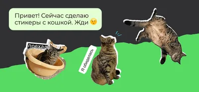 Whatsapp emoji генерируется искусственным интеллектом | Премиум Фото