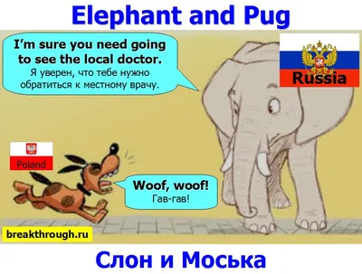 Иван крылов - слон и моська (басня): читать стих, текст стихотворения  полностью - классика на рустих