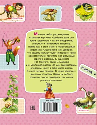 Центральная детская библиотека г. Сасово: Онлайн викторина «Путешествие по  книгам Сергея Михалкова» | Культура - Рязанская область. РФ