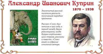 Книга сказка «Слон», 16 страниц (1901784) - Купить по цене от 8.72 руб. |  Интернет магазин SIMA-LAND.RU