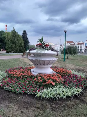 По сегодняшнему дню на Руси судили о погоде на лето | 24.05.2023 | Псков -  БезФормата