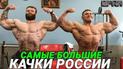 Анекдоты про качков! | Чемпион. Все о спорте! | Дзен