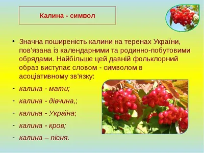 Саженцы калины в Украине ᐉ купить почтой в питомнике Биосад