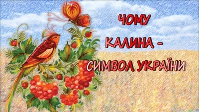 Свято''Червона калина –символ України” у 2-А класі - Інформаційні матеріали  - Каталог статей - Сайт Млинівського ліцею №2