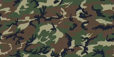 100+] Camo Wallpapers | Wallpapers.com