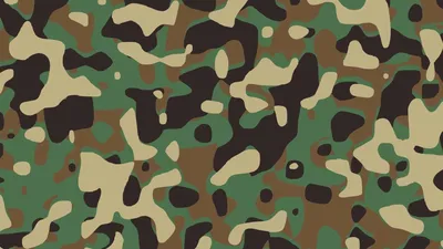 Camo Wallpapers: Free HD Download [500+ HQ] | Unsplash